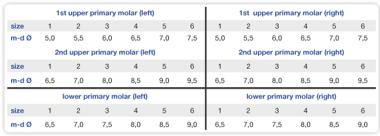 1st and 2nd primary molar